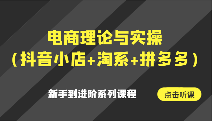 电商理论与实操（抖音小店+淘系+拼多多）新手到进阶系列课程-<a href=
