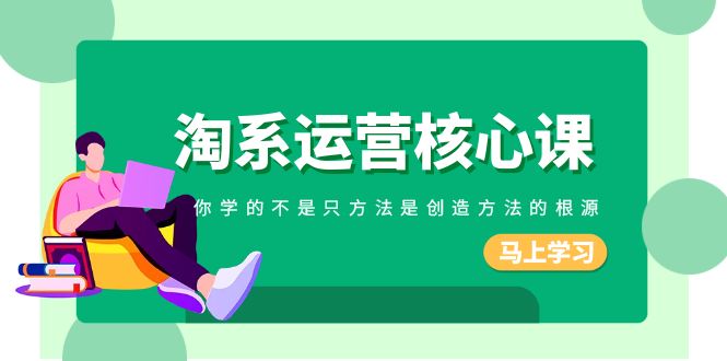 淘系运营核心课，你学的不只是方法而是创造方法的根源（190节课）-<a href=