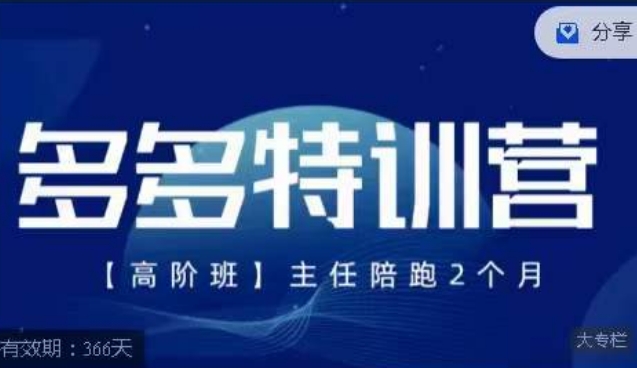 纪主任·多多特训营高阶班【9月13日更新】，拼多多最新玩法技巧落地实操-<a href=