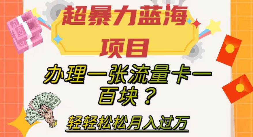 超暴力蓝海项目，办理一张流量卡一百块？轻轻松松月入过万，保姆级教程【揭秘】-<a href=