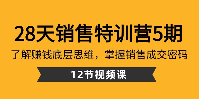 28天销售特训营5期：了解赚钱底层思维，掌握销售成交密码（12节课）-<a href=