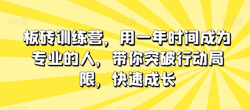 板砖训练营，用一年时间成为专业的人，带你突破行动局限，快速成长-<a href=