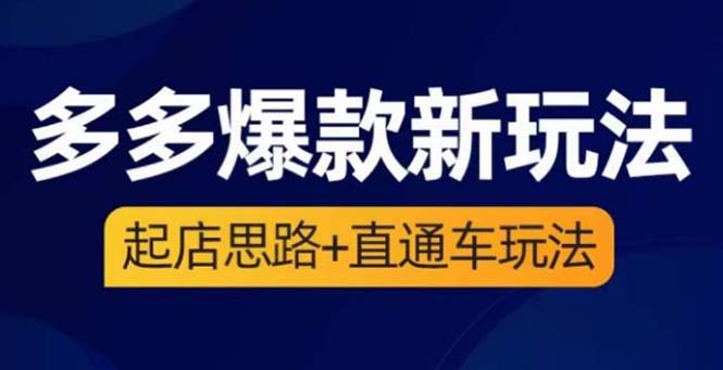 （6028期）2023拼多多爆款·新玩法：起店思路+直通车玩法（3节精华课）-<a href=