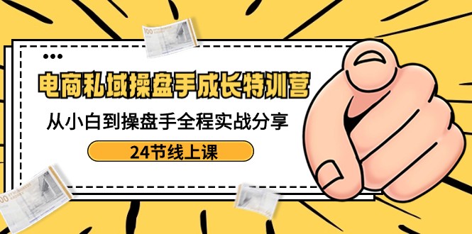 电商私域操盘手成长特训营：从小白到操盘手全程实战分享-24节线上课-<a href=