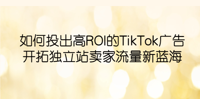 （6102期）如何投出高ROI·TikTok广告，开拓独立站卖家流量新蓝海-<a href=