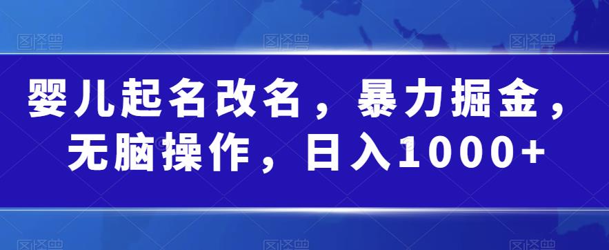婴儿起名改名，暴力掘金，无脑操作，日入1000+【揭秘】-<a href=