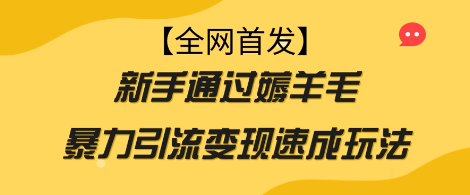 【全网首发】新手通过薅羊毛暴力引流变现速成玩法-<a href=