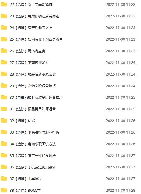 （4409期）淘系天猫电商业绩增长：已培养上千位卖家实现100W+利润（700节30G课程）-<a href=