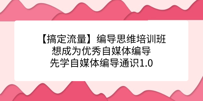 （7281期）【搞定流量】编导思维培训班，想成为优秀自媒体编导先学自媒体编导通识1.0-<a href=