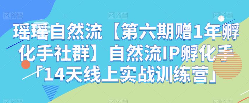 瑶瑶自然流【第六期赠1年孵化手社群】自然流IP孵化手「14天线上实战训练营」-<a href=