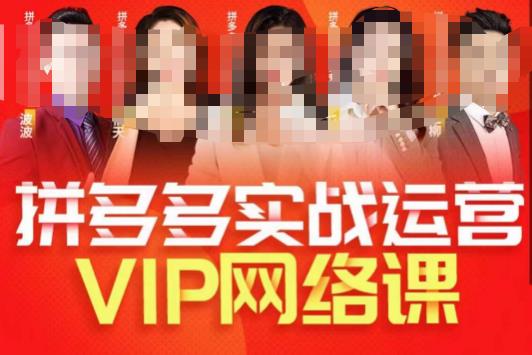 推易拼多多VIP全套直播课程，拼多多店铺实操玩法+实战玩法选款内功+直通车高阶等-<a href=