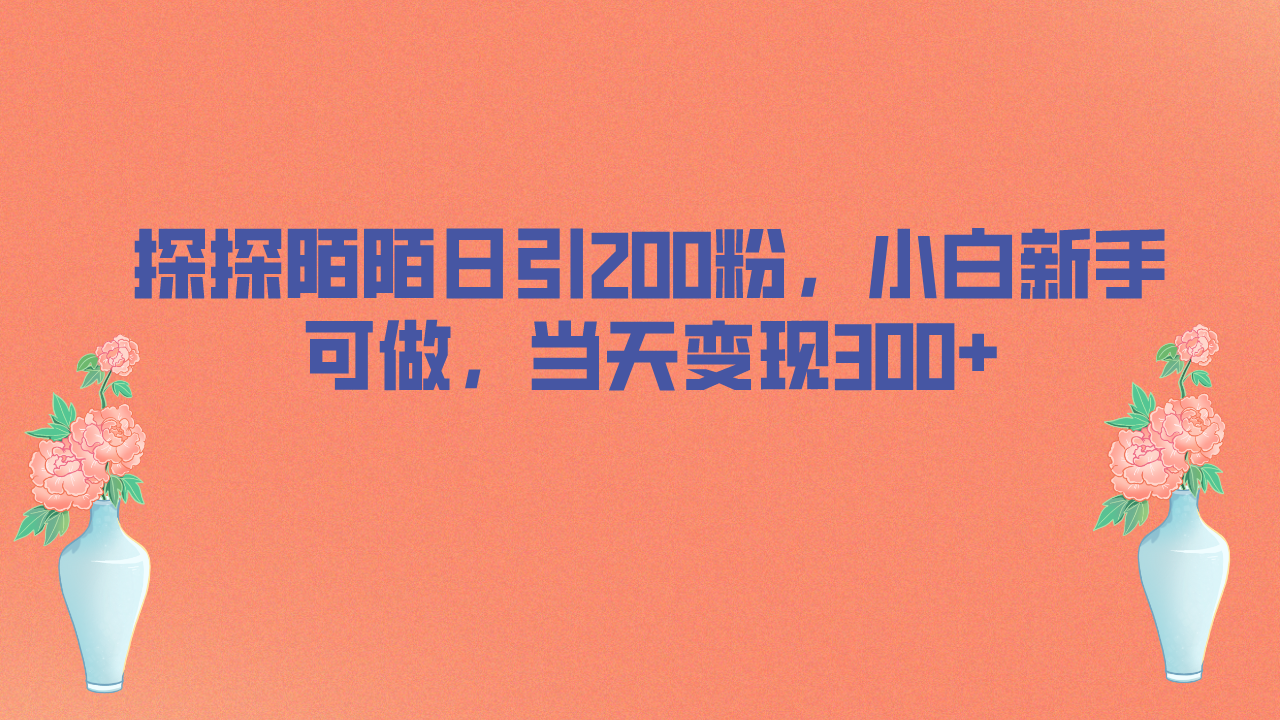 （6817期）探探陌陌日引200粉，小白新手可做，当天就能变现300+-<a href=
