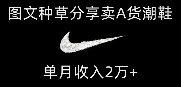 靠图文种草分享卖A货潮鞋，每天一小时，单月收入2万+【揭秘】-<a href=