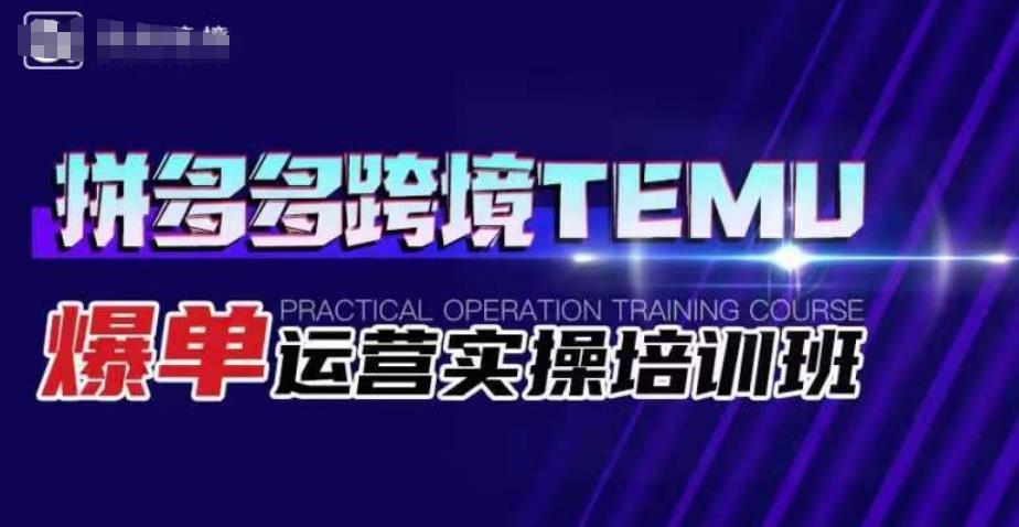 拼多多跨境TEMU爆单运营实操培训班，海外拼多多的选品、运营、爆单-<a href=