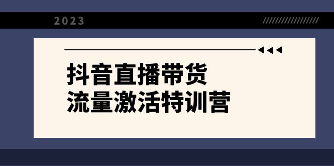 抖音直播带货-流量激活特训营，入行新手小白主播必学（21节课+资料）-<a href=