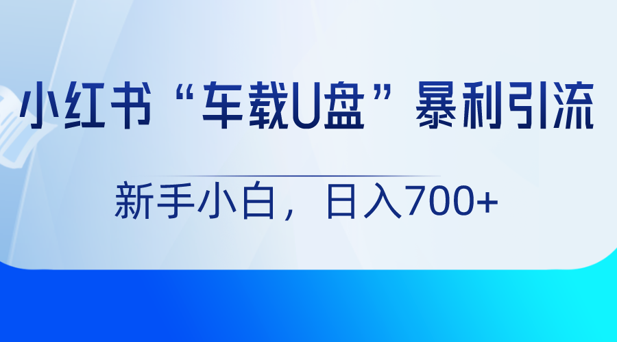 小红书“车载U盘”项目，暴利引流，新手小白轻松日入700+-<a href=