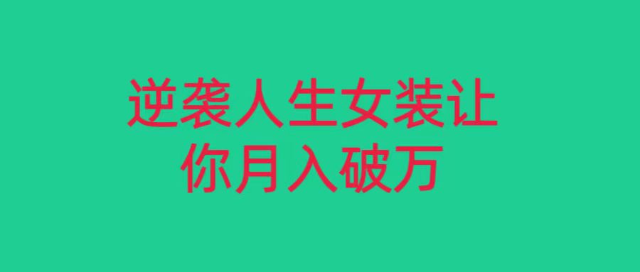 小红书女装无货源月入过万，只要努力就会有成效！-<a href=