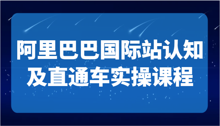 阿里巴巴国际站认知及直通车实操课-国际地产逻辑、国际站运营定位、TOP商家运营思路-<a href=