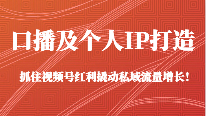 口播及个人IP打造，抓住视频号红利撬动私域流量增长！（45节课）-<a href=