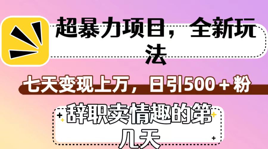 超暴利项目，全新玩法（辞职卖情趣的第几天），七天变现上万，日引500+粉-<a href=