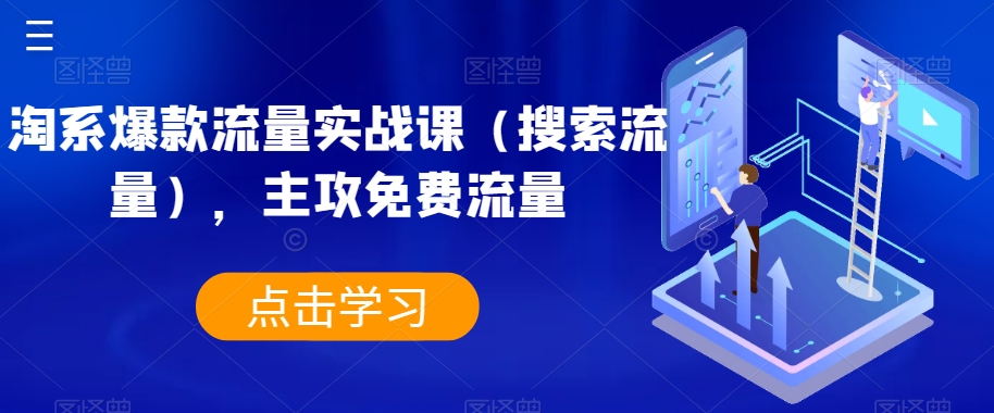 淘系爆款流量实战课（搜索流量），主攻免费流量-<a href=