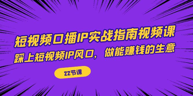 （7202期）短视频口播IP实战指南视频课，踩上短视频IP风口，做能赚钱的生意（22节课）-<a href=