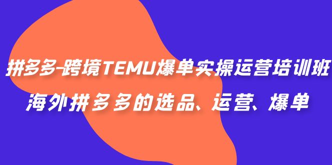 （6934期）拼多多-跨境TEMU爆单实操运营培训班，海外拼多多的选品、运营、爆单-<a href=