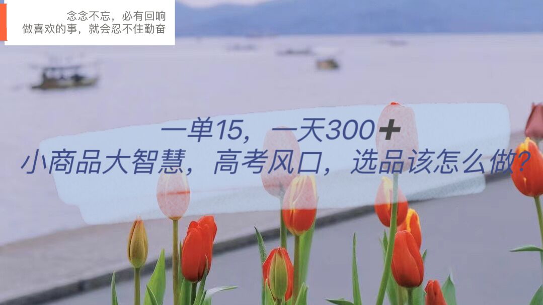 （6077期）一单15，一天300+，小商品大智慧，高考风口，选品该怎么布局-<a href=