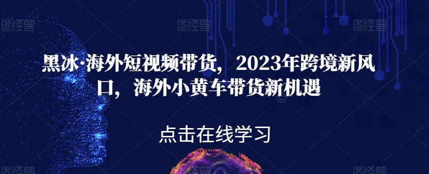 黑冰·海外短视频带货，2023年跨境新风口，海外小黄车带货新机遇-<a href=