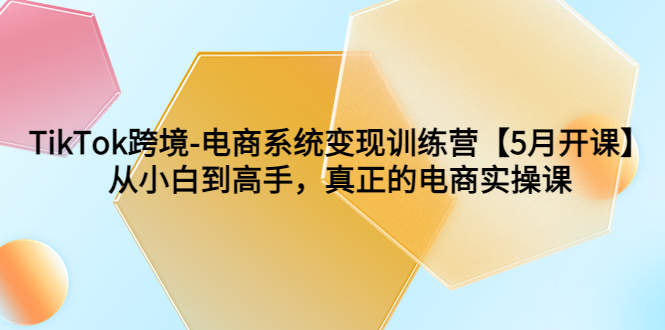 （6058期）TikTok跨境-电商系统变现训练营【5月新课】从小白到高手，真正的电商实操课-<a href=