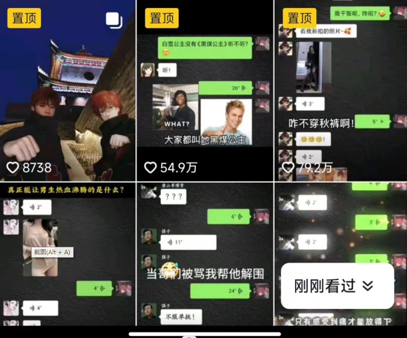 抖音搞笑对话项目详解-涨粉快作品简单，小白轻松上手-<a href=