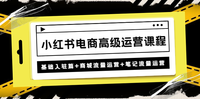 （4638期）小红书电商高级运营课程：基础入驻篇+商城流量运营+笔记流量运营-<a href=