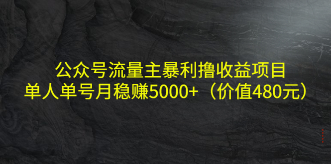 （4011期）公众号流量主暴利撸收益项目，单人单号月稳赚5000+（价值480元）-<a href=
