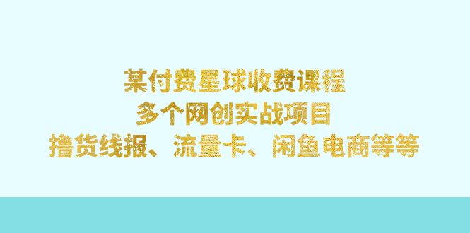 （7199期）某付费星球课程：多个网创实战项目，撸货线报、流量卡、闲鱼电商等等-<a href=
