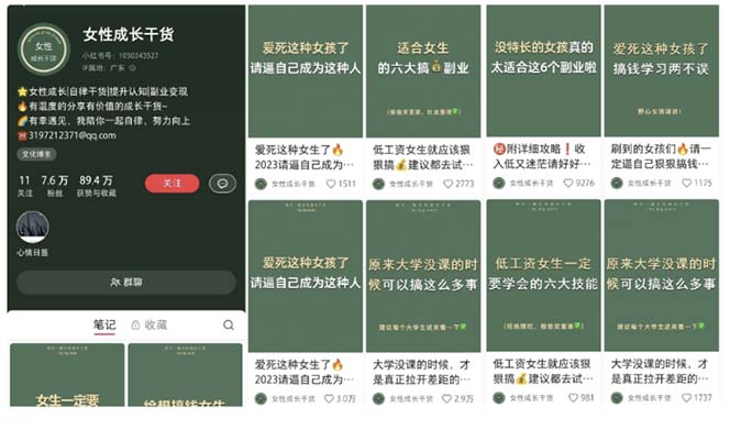 （5852期）小红书各行业引流玩法，从养号到制作到引流等，一条龙分享给你-<a href=