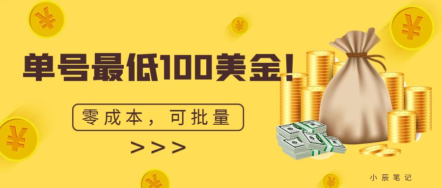 （6975期）单号最低100美金，零成本，小白无脑操作。可复制，可扩大。-<a href=