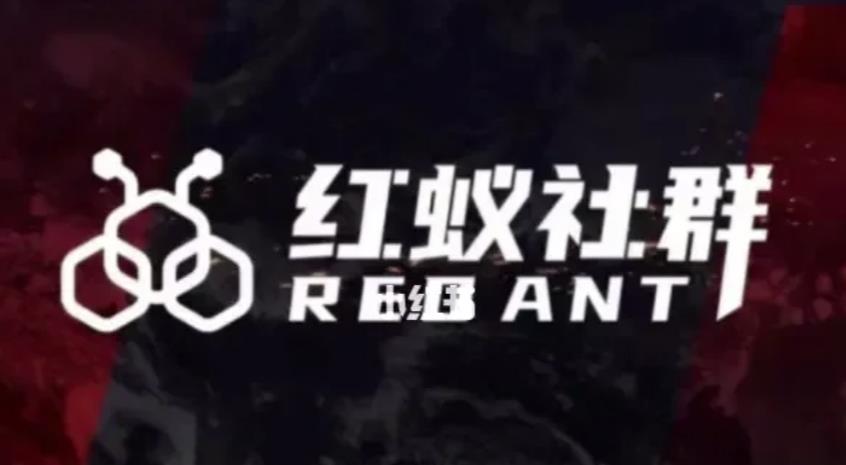 社群运营：红蚁社群【48节落地系统课程+2000人高端社群】-<a href=