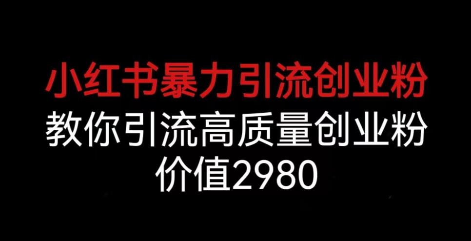 小红书暴力引流创业粉，教你引流高质量创业粉，价值2980【揭秘】-<a href=