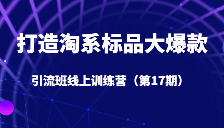 打造淘系标品大爆款引流班线上训练营（第17期）5天直播授课+1个月答疑-<a href=
