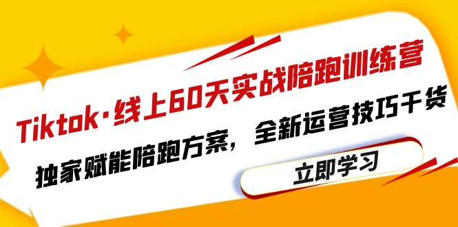 （6333期）Tiktok·线上60天实战陪跑训练营，独家赋能陪跑方案，全新运营技巧干货-<a href=