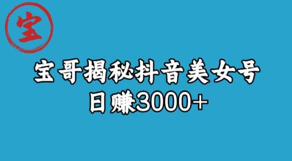 宝哥揭秘抖音美女号玩法，日赚3000+【揭秘】-<a href=