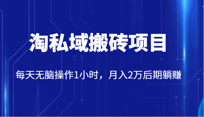 价值2980的淘私域搬砖项目，每天无脑操作1小时，月入2万后期躺赚-<a href=