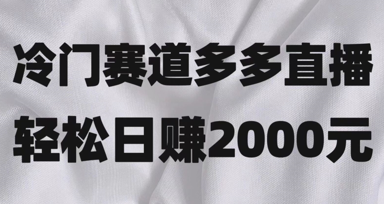 冷门赛道拼多多直播，简单念稿子，日收益2000＋【揭秘】-<a href=