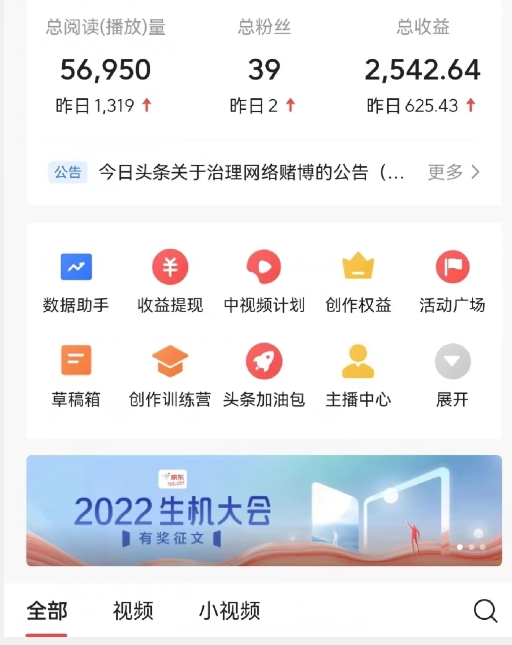 全新蓝海，西瓜视频流量掘金项目，简单上手适合0基础小白，暴力玩法日入500＋【揭秘】-<a href=