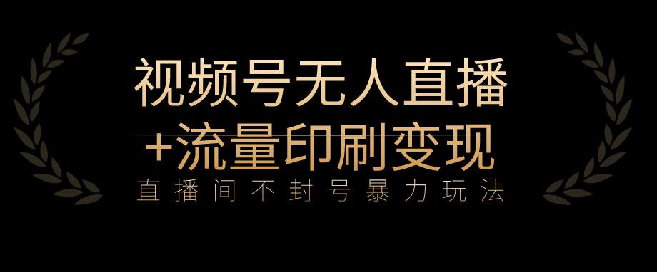 全网首发视频号不封号无人直播暴利玩法+流量印刷机变现，日入1000+【揭秘】-<a href=