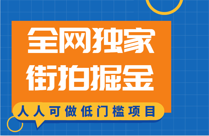 全网独家一街拍掘金，低门槛人人可做的赚钱项目-<a href=