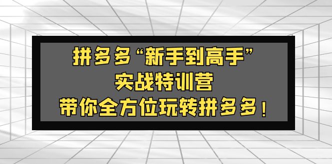 （5173期）拼多多“新手到高手”实战特训营：带你全方位玩转拼多多！-<a href=