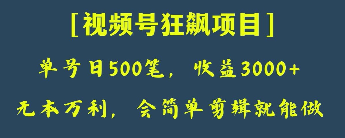 日收款500笔，纯利润3000+，视频号狂飙项目，会简单剪辑就能做【揭秘】-<a href=