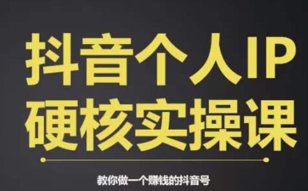 个人IP创富系统实战课，商业定位，流量打造，短视频变现，教你做个赚钱的抖音号-<a href=