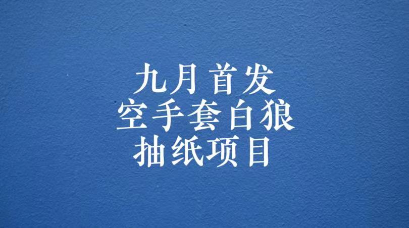 0成本，日入100-500空手套白狼抽纸项目，保姆级教学-<a href=